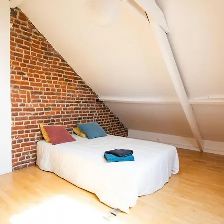 Maison Cosy 4 Chambres, Terrasse, Garage Prive Appartement Croix